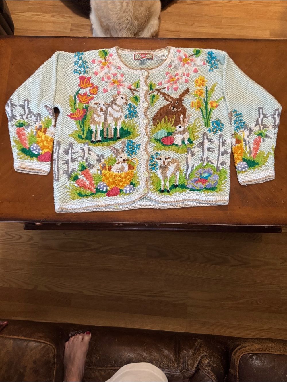 Pastel White Embroidered Spring Motif Cardigan Sweater